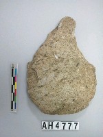 藏品(有腰打製石斧)的圖片